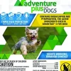 Adventure Plus Flea and Tick for Dogs - 11 - 20 Lbs - 4 Pack
