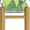 A&E Cage Company Happy Beaks Small Bird Ladder - 6 In
