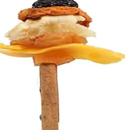 A&E Cage Company Happy Beaks Fruit On Cinnamon Skewer Bird Treat - Small