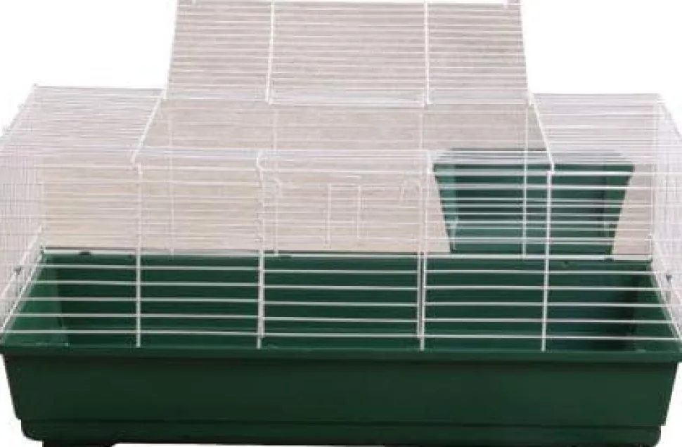 A&E Cage Company Small Animal Cage - 31 X 17 X 17 In - Large - 2 Pack