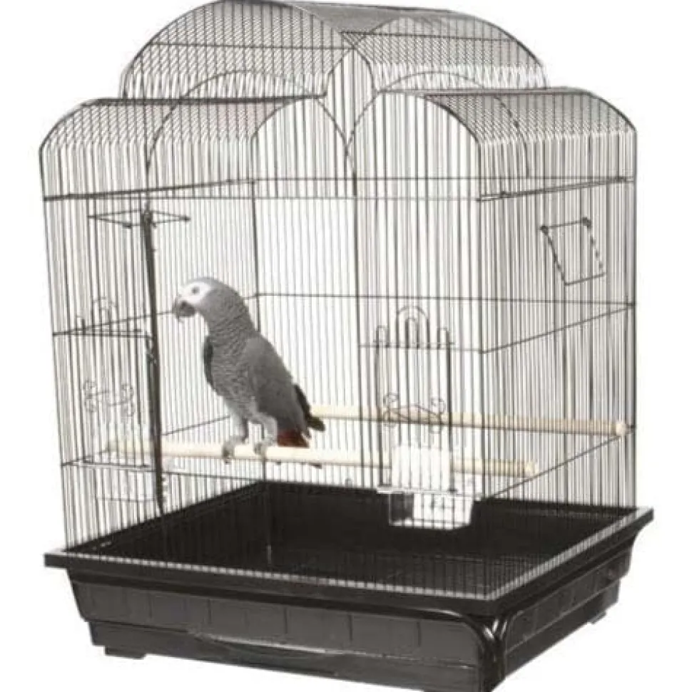 A&E Cage Company Victorian Bird Cage - Black - 25 X 21 In - 2 Pack