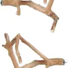 A&E Java Wood Multi-Branch Bird Perch - Small