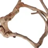A&E Java Wood Multi-Branch Bird Perch - Extra Small