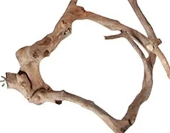 A&E Java Wood Multi-Branch Bird Perch - Extra Small
