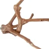 A&E Java Wood Multi-Branch Bird Perch - Medium