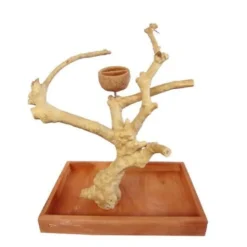A&E Java Wood Table Top Bird Play Stand - 15 X 10 X 15 In