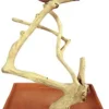 A&E Java Wood Table Top Bird Play Stand - 22 X 14 X 22 In