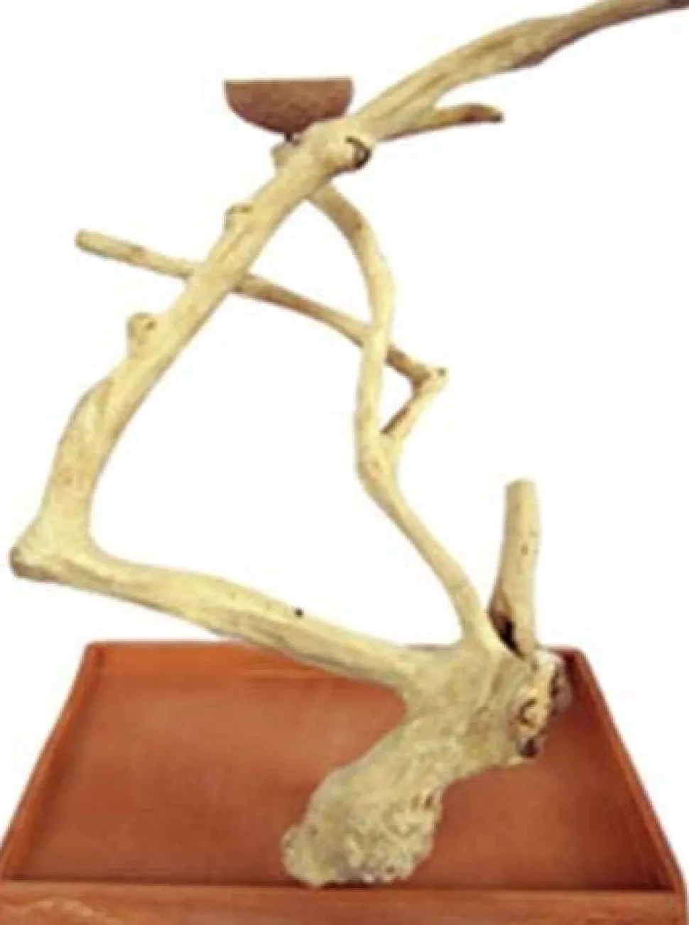 A&E Java Wood Table Top Bird Play Stand - 22 X 14 X 22 In