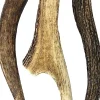 Antler Dog Chews Deer Antler - Medium - 5-7 In - 2 Lbs