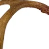 Antler Dog Chews Deer Antler - Large - 7-9 In
