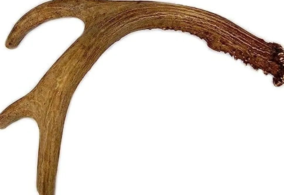 Antler Dog Chews Deer Antler - Large - 7-9 In