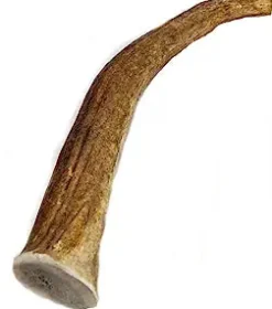 Antler Dog Chews Elk Antler - Extra Large 9-10 In