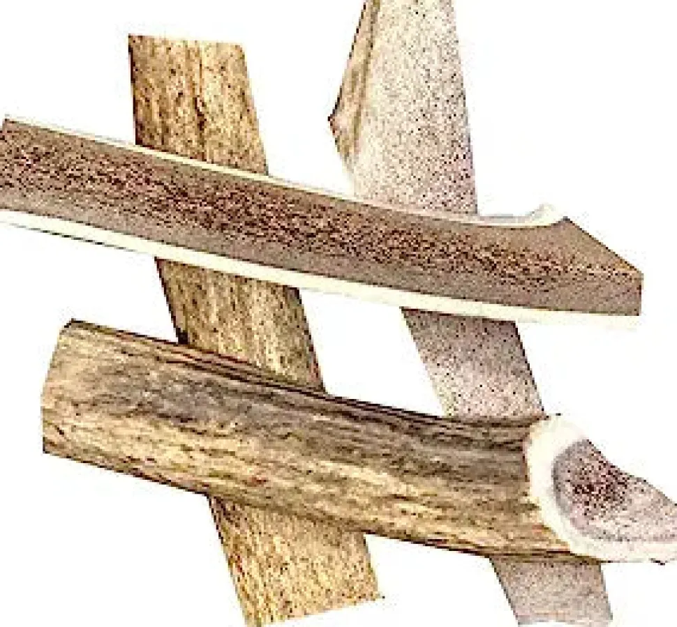 Antler Dog Chews Elk Antler Split - Super Large - 10 In