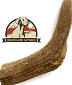 Antler Dog Chews Elk Antler - Large - 7-9 In