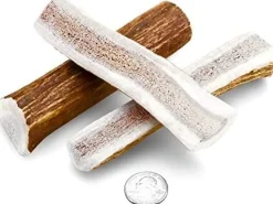 Antler Dog Chews Elk Antler Split - Small - 3-5 In