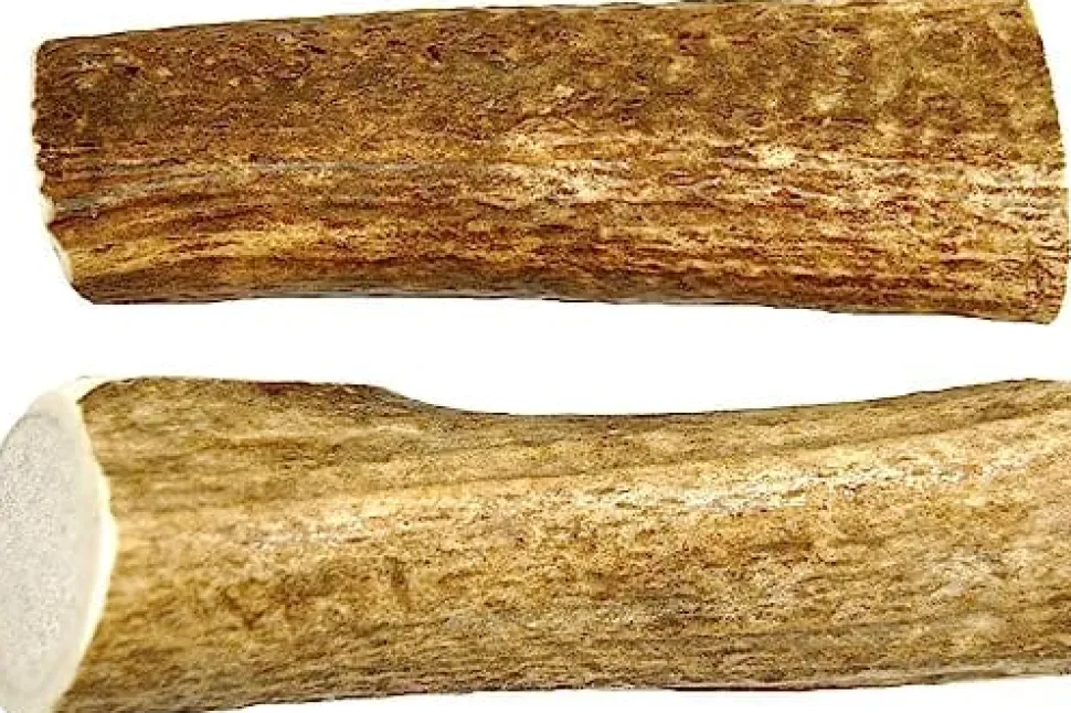 Antler Dog Chews Elk Antler Sup - Large - 10 In