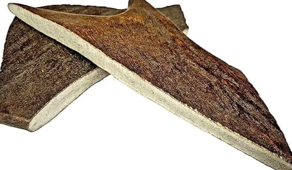 Antler Dog Chews Moose Antler - Small - 2-3 In