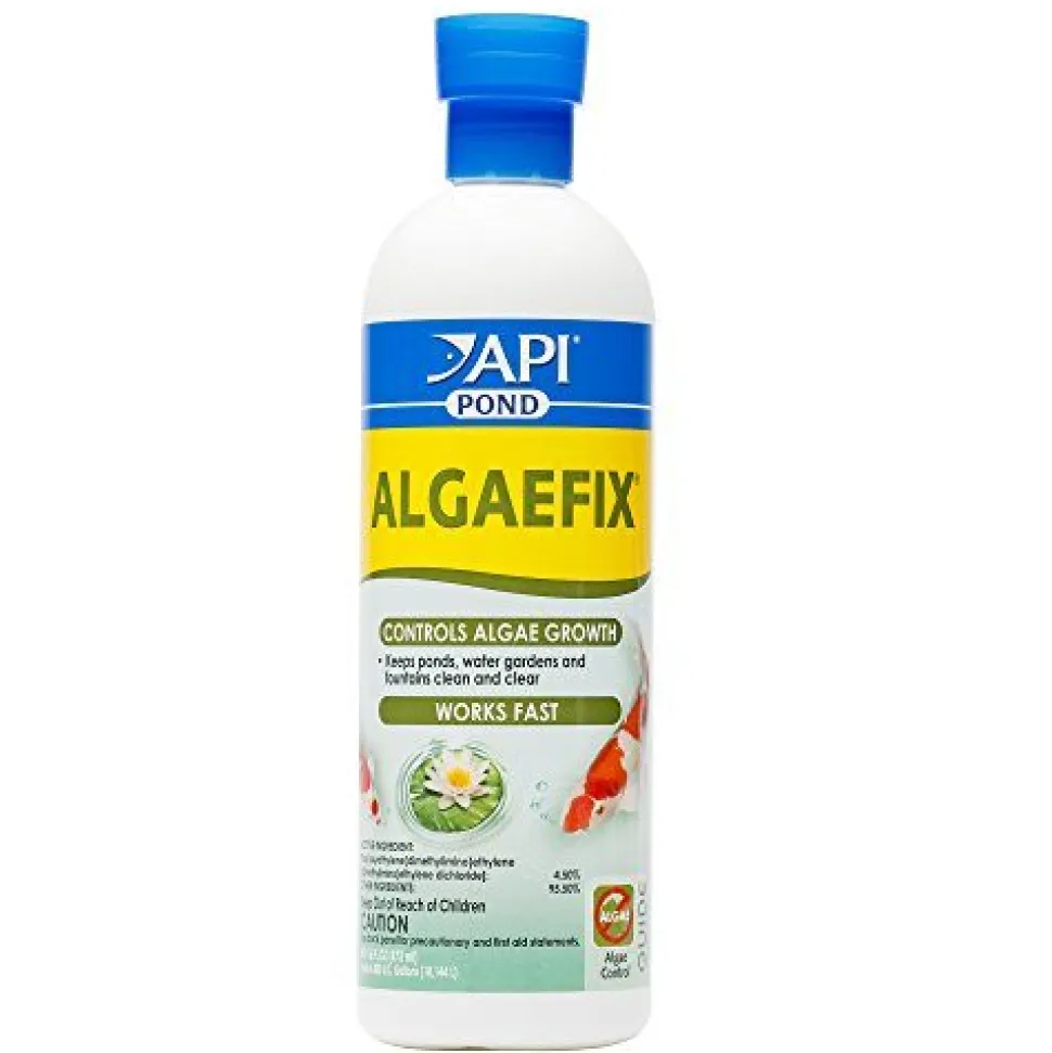 API Pond AlgaeFix - 16 fl oz