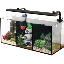 Aqua One Betta Trio