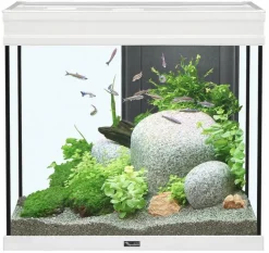 Aquatlantis Elegance Expert 60 Aquarium - White - 27.5 gal