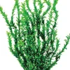 Aquatop Bushy Weighted Plastic Aquarium Plant - Green - 26 In