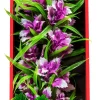 Aquatop Vibrant Garden Plant Boxed Plastic Aquarium Plant - Violet - 16