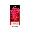 Aquatop Vibrant Garden Plant Boxed Plastic Aquarium Plant - Pink - 6