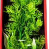 Aquatop Vibrant Wild Plant Boxed Plastic Aquarium Plant Decoration - Green - 10