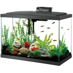 Aqueon Aquarium Starter Kit with LED Lighting - 20 High