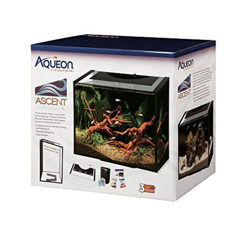 Aqueon Ascent Frameless Aquarium Kit - 6 gal