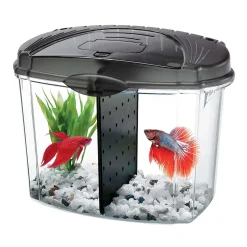 Aqueon Betta Bowl Kit - Black - .5 gal