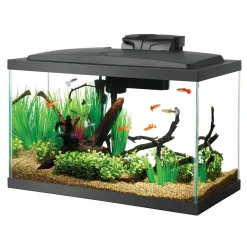 Aqueon LED Aquarium Kit - 10gal