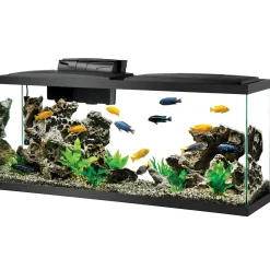 Aqueon LED Aquarium Kit - 55gal