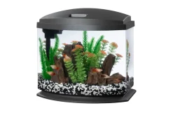 Aqueon LED MiniBow 5 - Grey - 5 gal