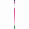 Aqueon T8 Fluorescent Lamp Replacements - Colormax - 24 in
