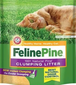 Arm & Hammer Feline Pine Scoop Clumping Cat Litter - 14 Lbs - Case of 2