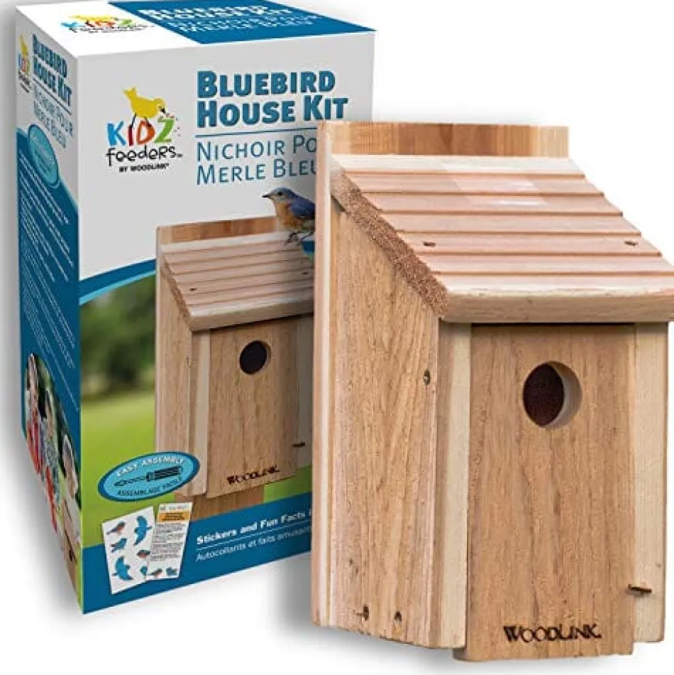 Audubon Diy Craft Kit Bluebird Wild Bird House - Natural