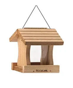Audubon Diy Craft Kit Wooden Hopper Wild Bird Feeder - Natural