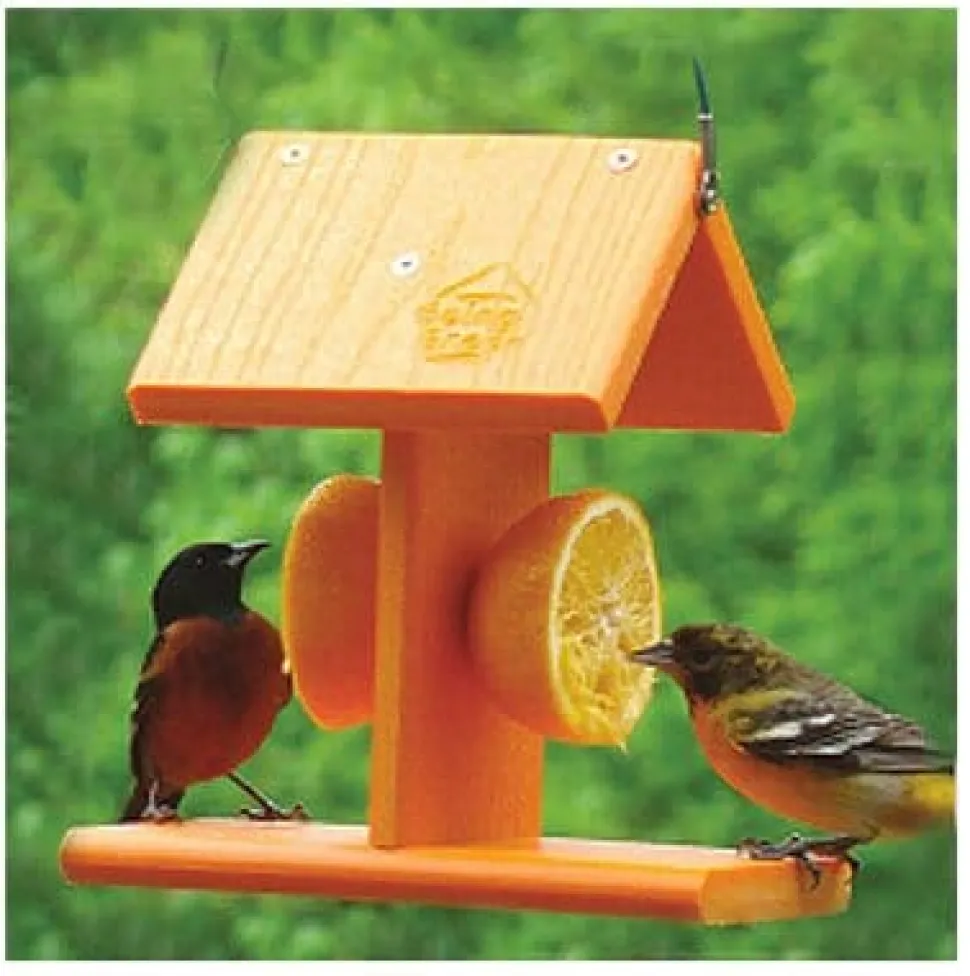 Audubon Going Green Deluxe Oriole Feeder - Orange - 12 X 8.25 X 8.2 In
