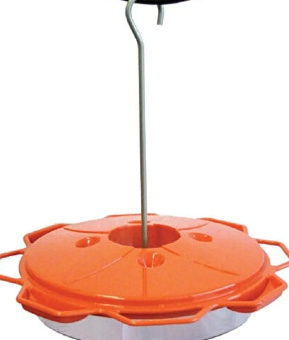 Audubon 3-In-1 Oriole Dish Feeder - Orange - 12 Oz Cap