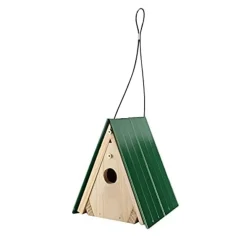 Audubon Lake & Cabin Wren Wild Bird House - Green