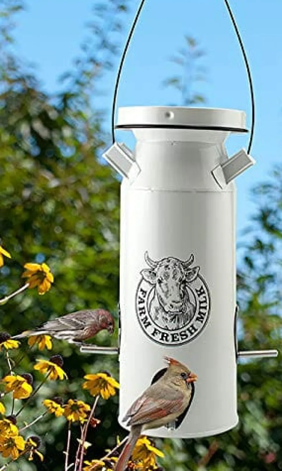 Audubon Milkhouse Vintage Can Seed Wild Bird Feeder - White - 4 Lbs Cap