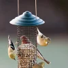 Audubon Mini Magnum Metal Sunflower Seed Feeder Wild Bird Feeder - Green - .50 Lbs Cap