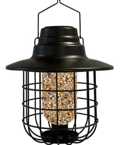 Audubon Modern Farmhouse Solar Barn Light Metal Wild Bird Feeder - Black - .75 Lbs Cap