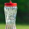 Audubon Patriotic Swirl Glass Hummingbird Feeder - Red/White/Blue - 16 Oz - 6 Pack