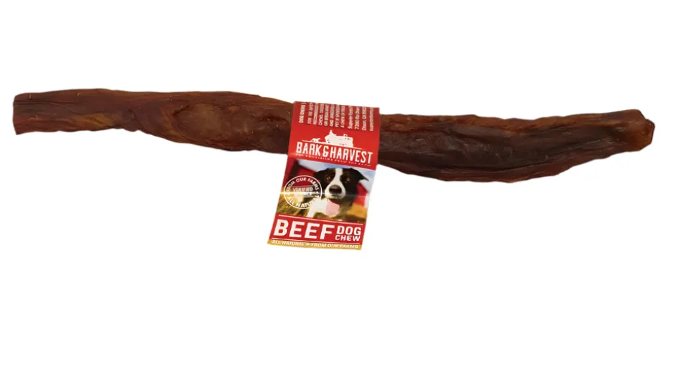 Bark + Harvest by Superior Farms 12" Beef Bladder Stick Dog Natural Chews - Case of 100
