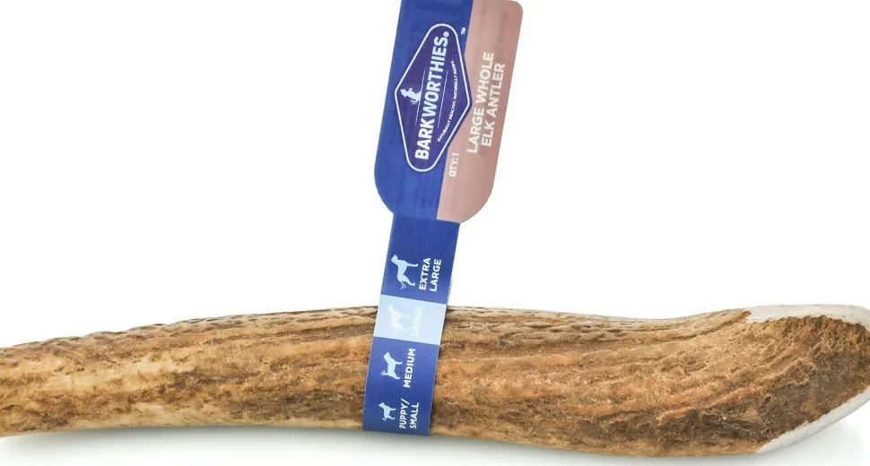 Barkworthies Elk Antler Whole Large Dog Chews - 10 ct Case - Case of 1
