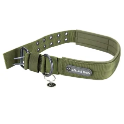 Bella and Max Heavy Adventure Dog Collar - Green - Extra Large