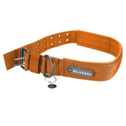 Bella and Max Heavy Adventure Dog Collar - Orange - Large