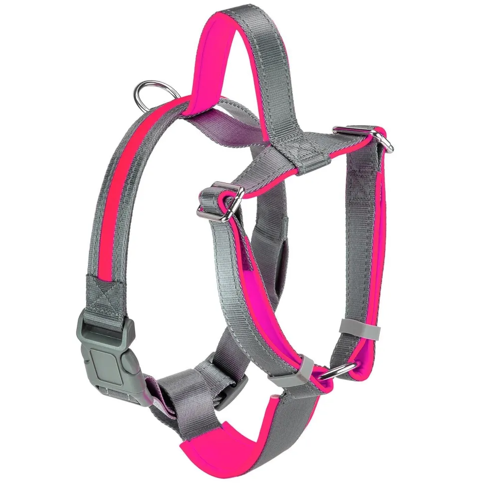 Bella and Max USB LED Lighting Dog Harness - Rose - Small